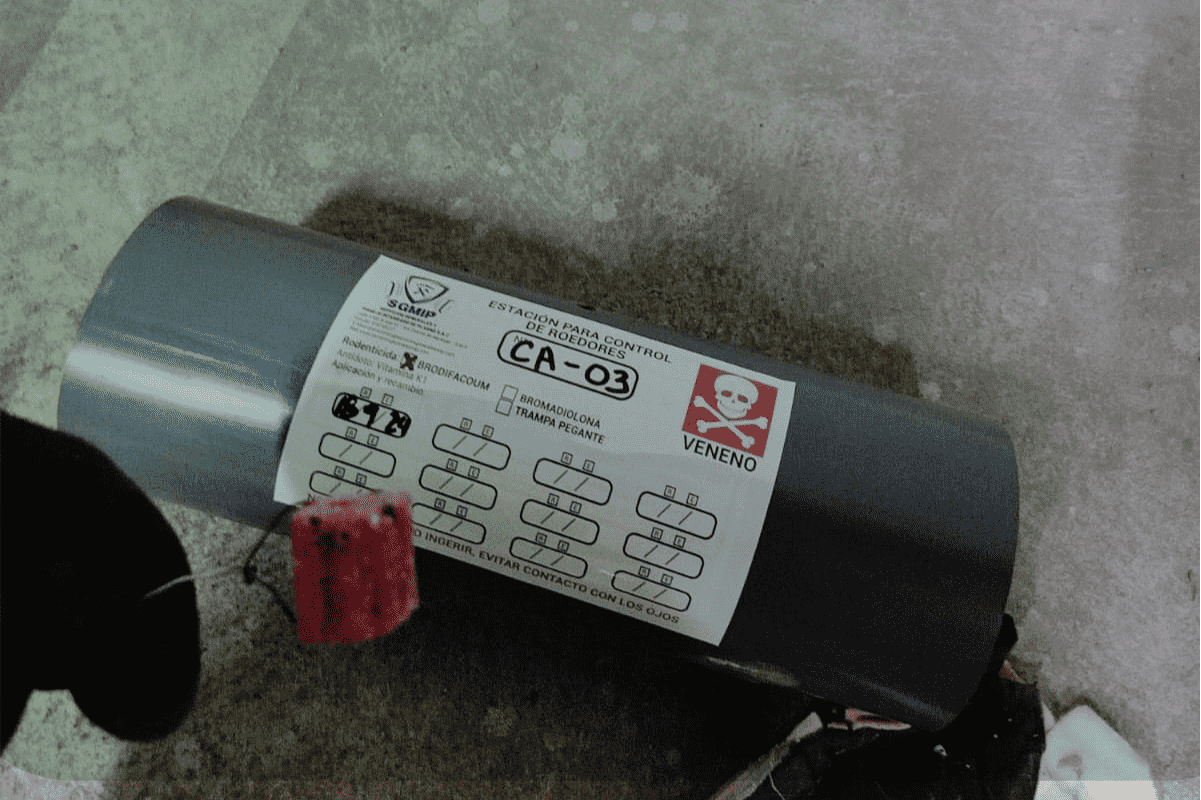 nuevas-fotos-1_optimized